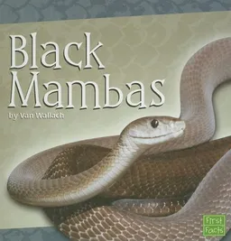 Black Mambas (First Facts)
