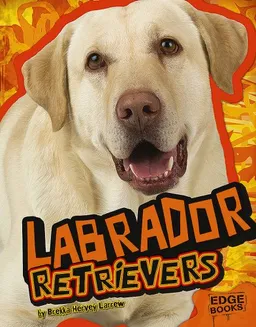 Labrador Retrievers (Edge Books)