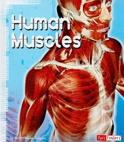 Human Muscles (Fact Finders)