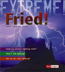 Fried!: When Lightning Strikes (Fact Finders: Extreme!)