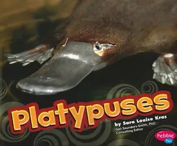 Platypuses (Pebble Plus: Australian Animals)