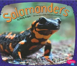 Salamanders (Amphibians)