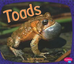 Toads (Amphibians)