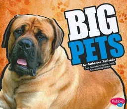עטיפת הספר Big Pets מאת Catherine Ipcizade