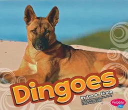 עטיפת הספר Dingoes (Australian Animals) מאת Lyn A. Sirota