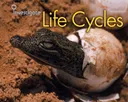 Life Cycles (Investigate)