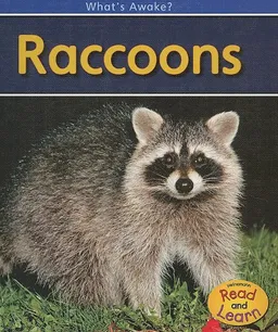 Raccoons (2nd Edition) (Heinemann Read and Learn)