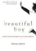 Beautiful Boy: A Father's Journey through His Son's Meth Addiction