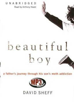 Beautiful Boy: A Father's Journey through His Son's Meth Addiction