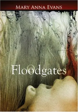 Floodgates (A Faye Longchamp Mystery)(Library Edition)