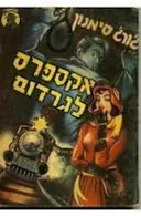 אקספרס לגרדום