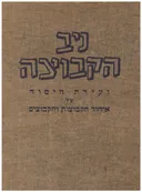ניב הקבוצה - ועידת היסוד של איחוד הקבוצות והקיבוצים