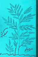 עֵלִי עמרם בן-צבי