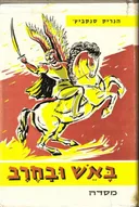 באש ובחרב שני כרכים