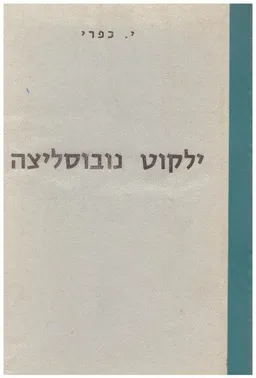 ילקוט נובוסליצה עיירת התאומים