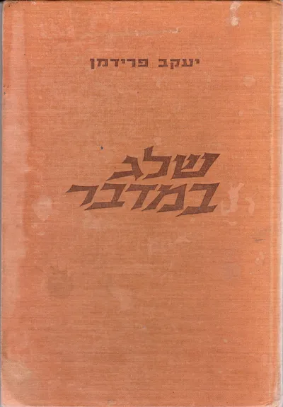 שלג במדבר