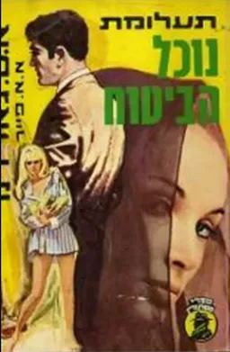 עטיפת הספר תעלומת נוכל הביטוח מאת ארל סטנלי גרדנר