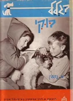 בגלל בוקי