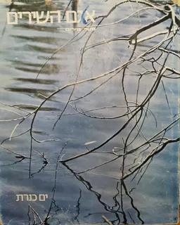 עטיפת הספר אגם השירים מאת פטר מירום