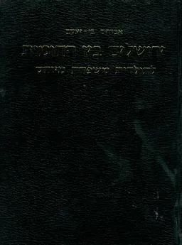 ירושלים בין החומות : לתולדות משפחת מיוחס