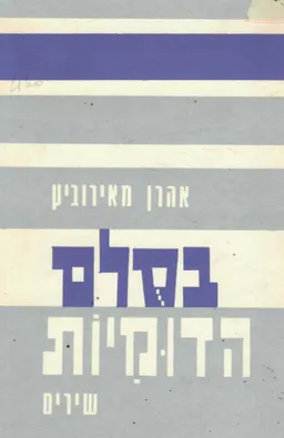 עטיפת הספר בסולם הדומיות מאת אהרון מאירוביץ
