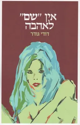 עטיפת הספר אין "שם" לאהבה מאת דודי גודר