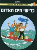 כרישי הים האדום