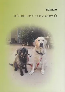לכשכש עם כלבים וחתולים