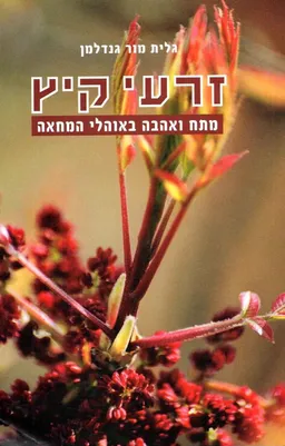 עטיפת הספר זרעי קיץ מאת גלית מור גנדלמן