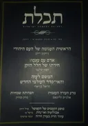 תכלת 42