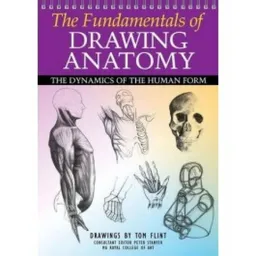 the fundamentals of drawing anatomy 