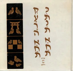 כתנת אחת קערה אחת