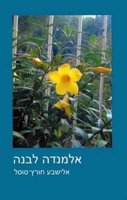 אלמנדה לבנה