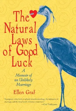 The Natural Laws of Good Luck: A Memoir of an Unlikely Marriage <g:plusone href="http://www.books-by-isbn.com/1-59030/1590306910-The-Natural-Laws-of-Good-Luck-A-Memoir-of-an-Unlikely-Marriage-1-59030-691-0.html" count="false"></g:plusone>