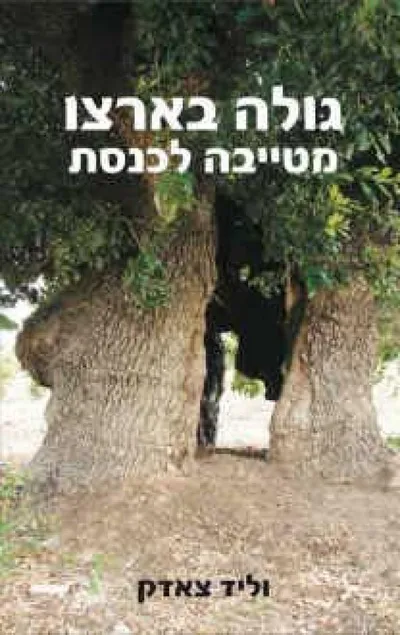 גולה בארצו - מטייבה לכנסת