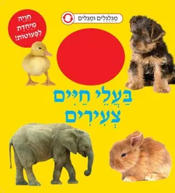 בעלי חיים צעירים - מגלגלים ומגלים