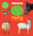 בחוה - מגלגלים ומגלים (קרטון) 
