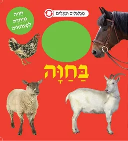 בחוה - מגלגלים ומגלים (קרטון) 