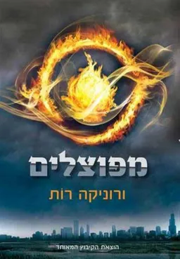 מפוצלים