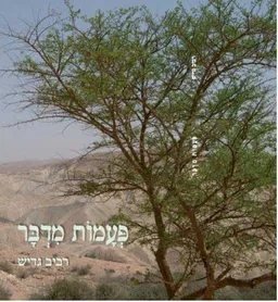 פעמות מדבר