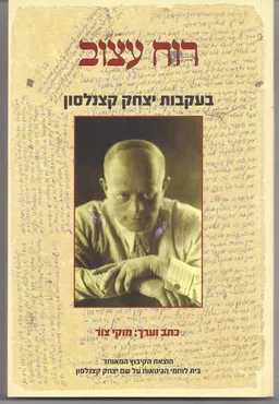 עטיפת הספר רוח עצוב מאת מוקי צור