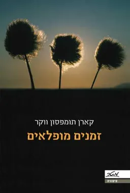 זמנים מופלאים