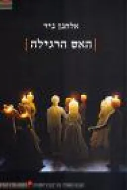 עטיפת הספר האש הרגילה : שירים ומעשייה אחת מאת אלחנן ניר