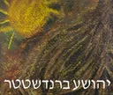 יהושע ברנדשטטר