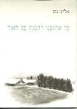 עד שהגענו להבנה עם האור