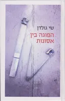 הפוגה בין אסונות