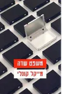 משפט שדה