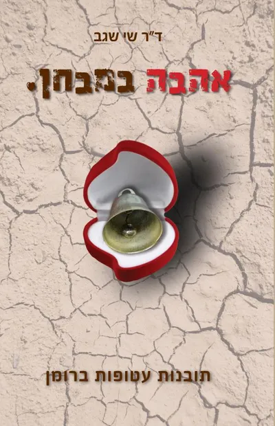 אהבה במבחן : תובנות עטופות ברומן