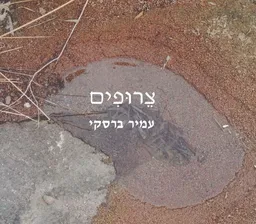 צרופים (אלבום צילום)