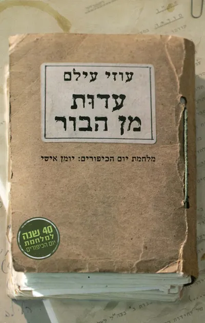 עדות מן הבור : מלחמת יום הכיפורים: יומן אישי